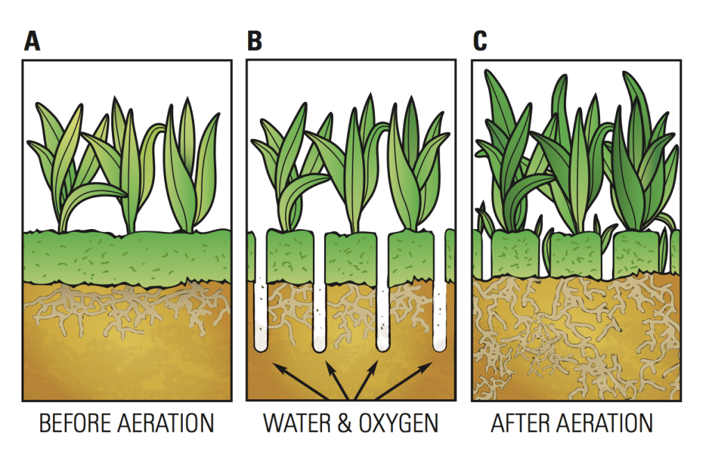 Lawn aeration diagram