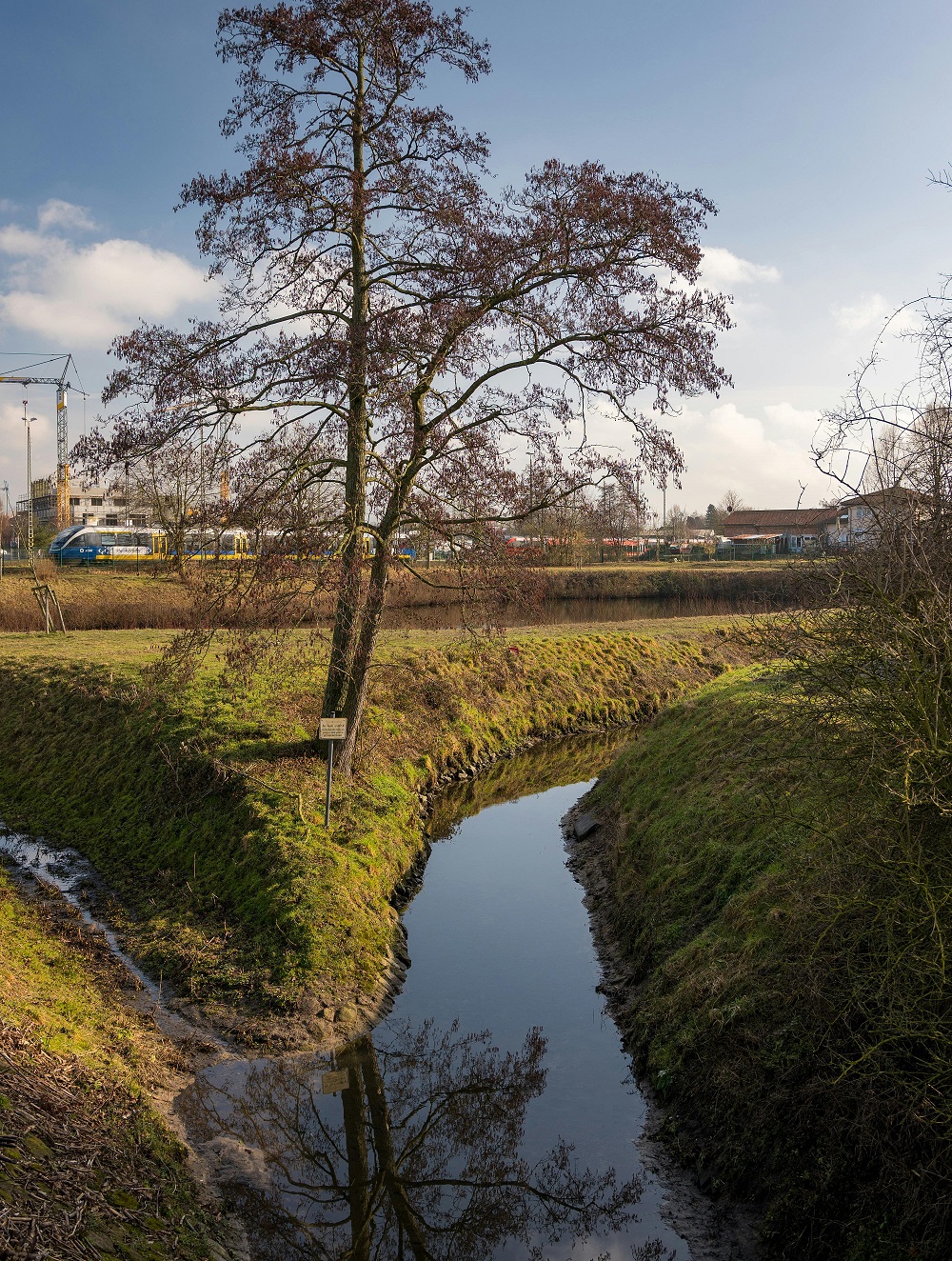 Drainage ditch
